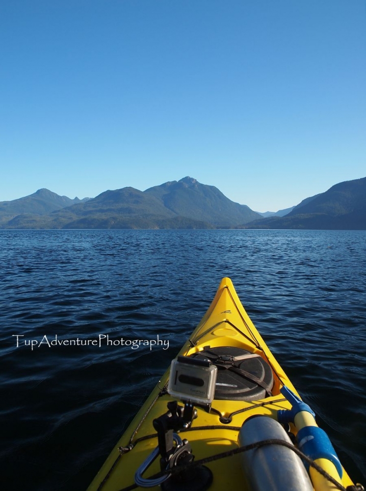 หันหน้าเข้า Robson Bight Ecological Reserve