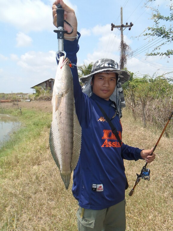 ตัวที่สองของน้องเต้ ทำเอาพวกที่จะตามให้ทันเรือ่งน้ำหนักถอดใจเป็นเแถวเลยงานนี้  :angry: :angry: :angr
