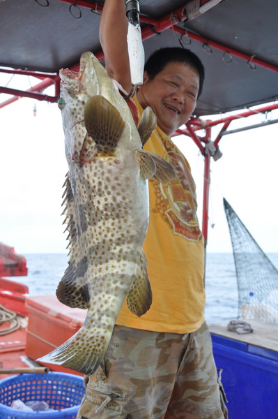 ไอ้เก๋า กาบเรือ ขนาดประมาณ 5-6 โลได้ครับ สวยงามจิงๆๆๆๆๆ