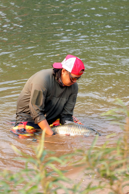 ปลามาแว้วววว   ตัวนี้ น่าจะเป็น Blue mahseer   สวยมากๆๆ ครับ     :love: :love: :love: