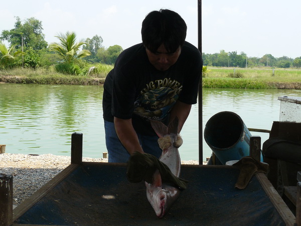 เดี๋ยวผมเช็ดให้เองตัวนี้ :grin: :grin: