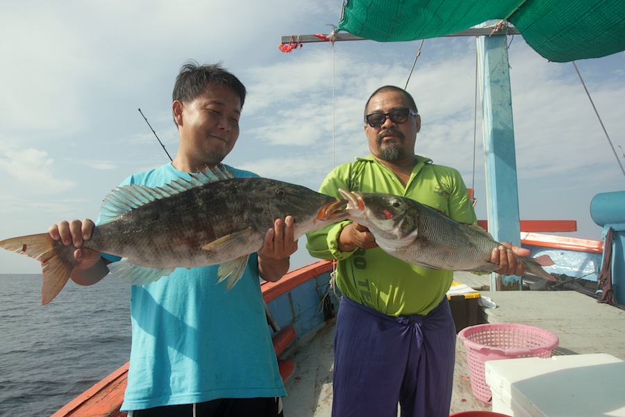 ปลายังคงรับทานเบ็ดอยู่ตลอดเวลา บางครั้งก็ขึ้นเรือมาพร้อมกันหลายตัว แต่ก็ถึงเวลาที่เราจะต้องเดินทางไป