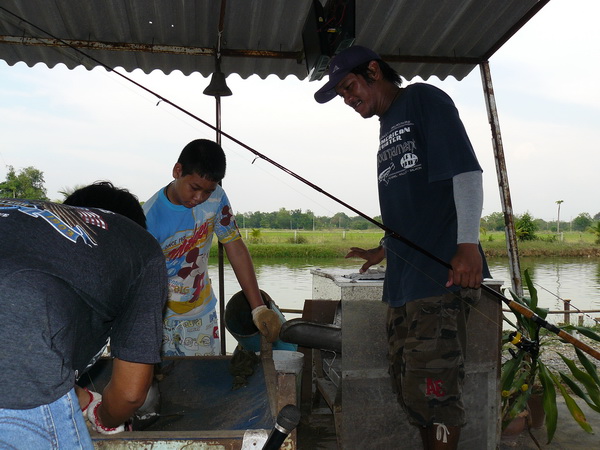เช็ดมั้ยตัวนี้พี่ชาญ อ่างทอง พิจารณาดีดีน้า :grin: :grin: