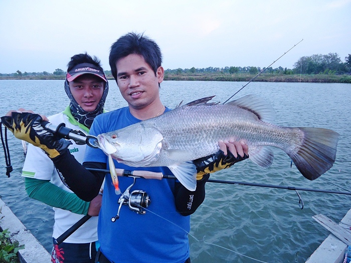 ....คู่..น้าก็อฟ ซักรูป ครับผม !!!
.... :grin: :grin: :grin: :grin: :grin: :grin: