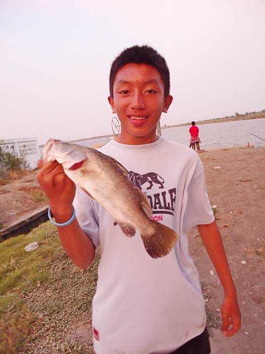 ....น้องนัท เราก็ได้ เยอะกระพง เหมือนกัน  :cool: :cool: :cool: :cool: :cool:
.... :laughing: :laugh