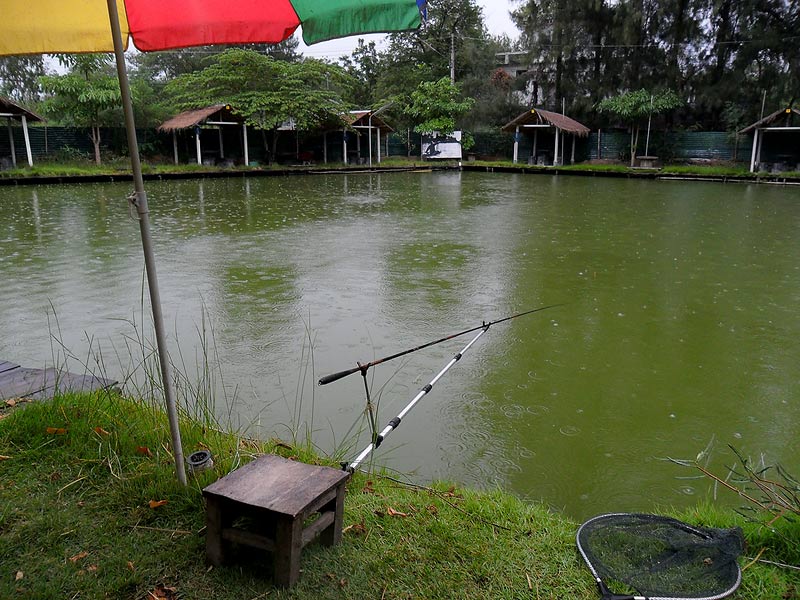 แล้วฝนก็ลงมาปิดเกมส์ ของวันนี้