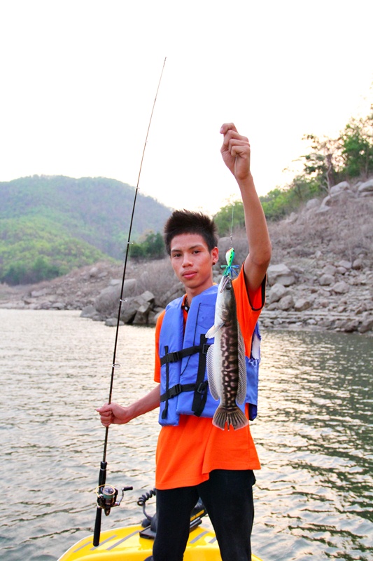 หายเมื่อยอีกที เมื่อมีปลามากัด