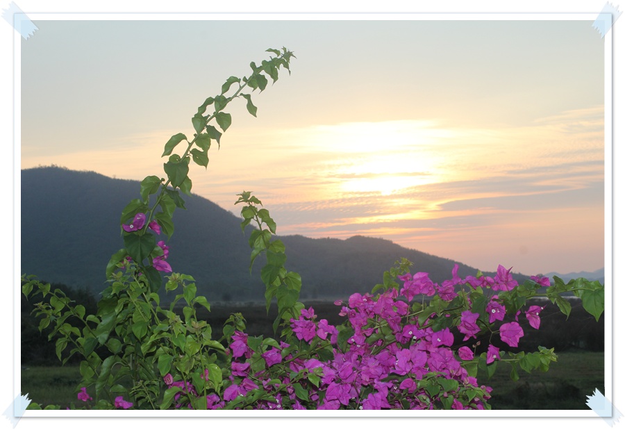 เช้าวันใหม่พร้อมลุยครับ :cheer: :cheer: :cheer: :cheer: :cheer: