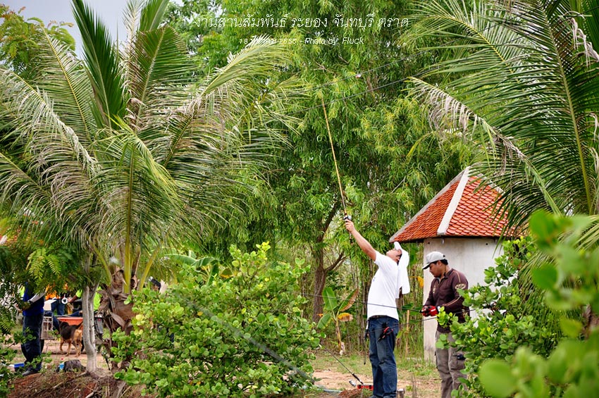 พี่ครับ ระวังไฟดูดเน้อ  :laughing: