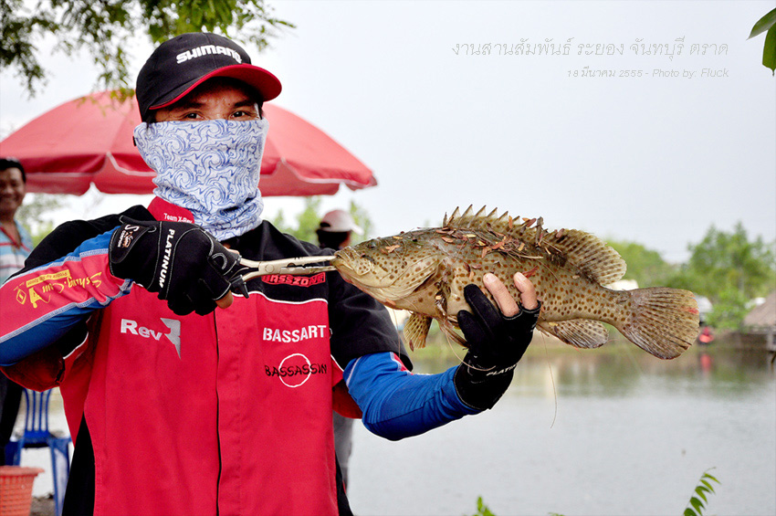 ใครเอ่ย?  :cheer: