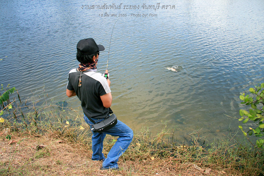 มาแล้วครับ กับรางวัล 1 คะแนน  :cheer: