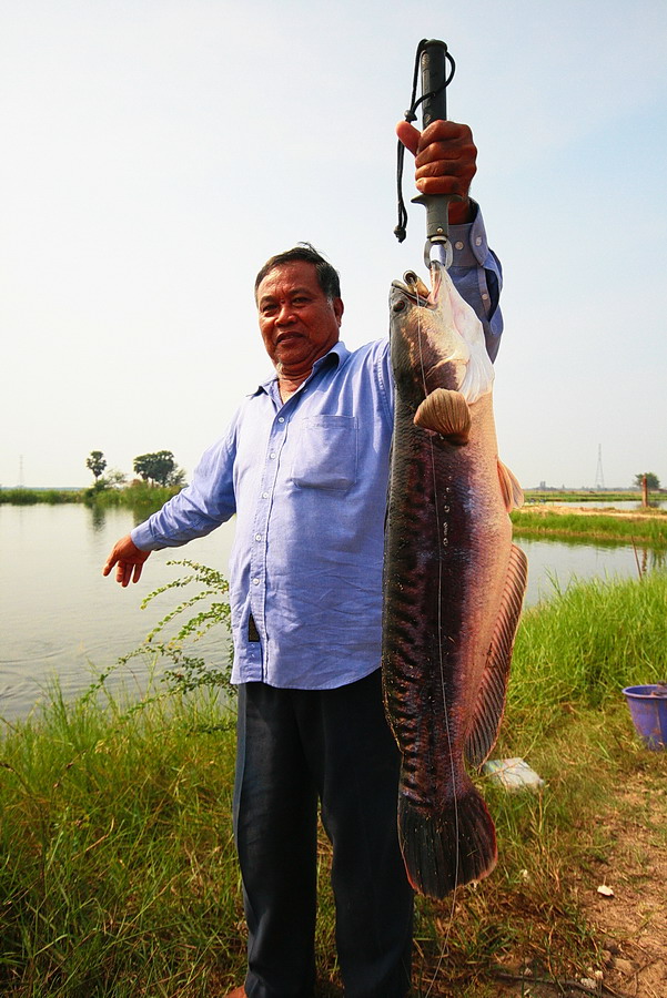 นี่มันตัวเล็กนี่นา ป๋าว่างั้นนะ :laughing: