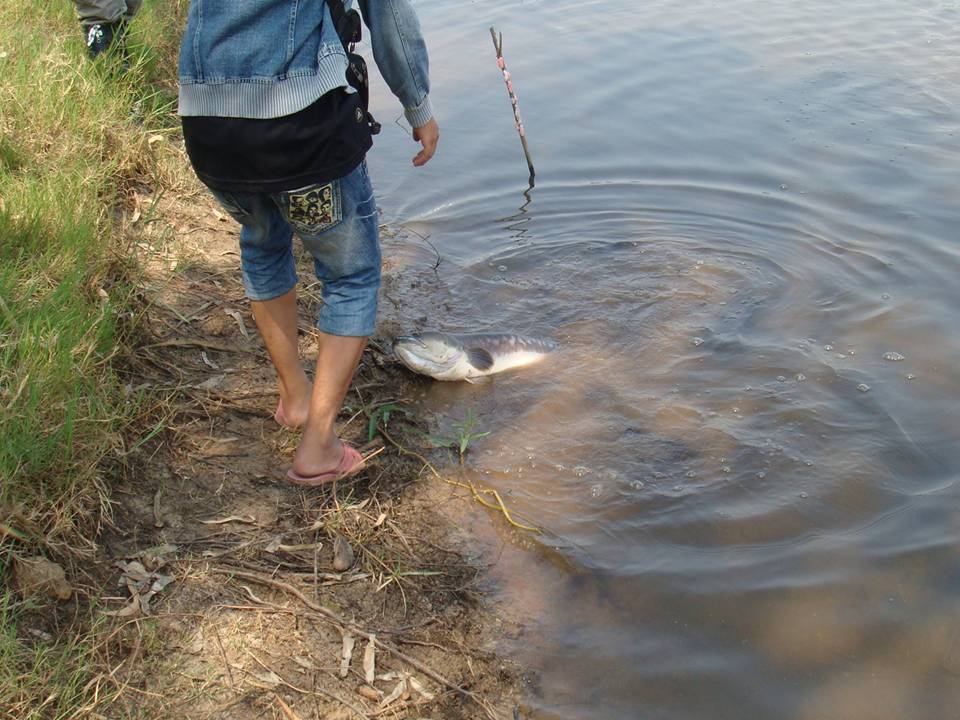 เกยตลิ่งแล้วครับ
งานนี้ไม่มีสวิง
อุ้มอย่างเดียว
 :laughing: :laughing: :laughing: