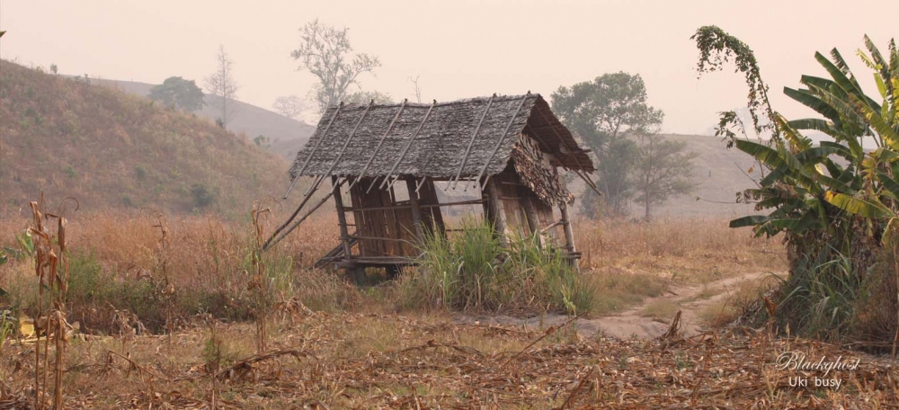 








กระท่อมปลายนาระหว่างทาง