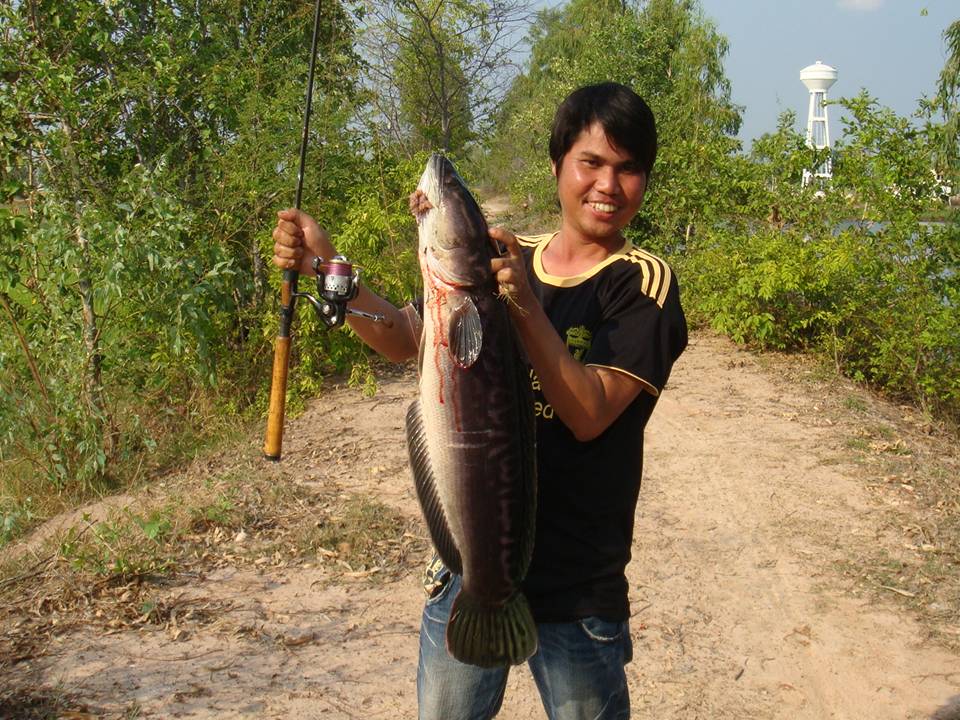 [q][i]อ้างถึง: นายชักช้า posted: 22-03-2555, 19:57:29[/i]

+++ตามชมด้วยคนนะคร้าบบบบบบบบบบ :grin: :