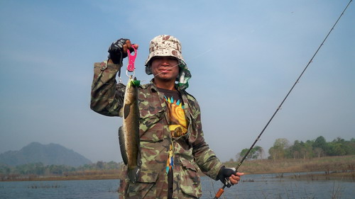 มันมุดสาหร่ายนี้เอง