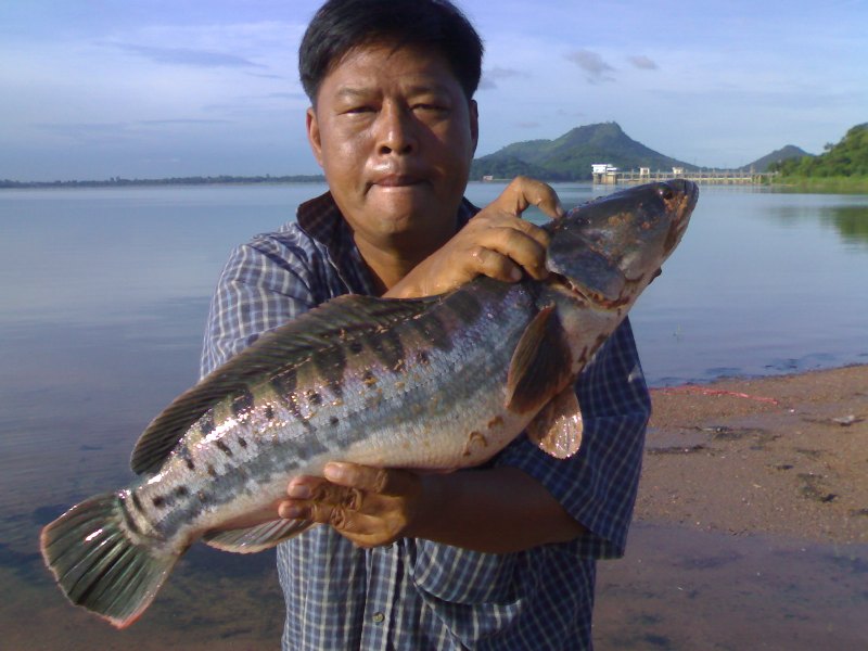 หาดตาควรใครๆรู้ดี     หาดตาควรบางพระ