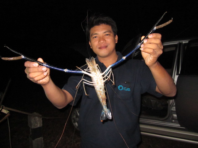 กุ้ง มือเย็นครับ