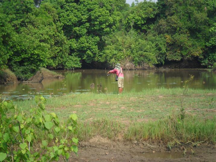 สวัสดีครับ น้าchok-korat    น้าnewzaza    น้าตู่แฮงเกอร์แมน



** เด็กบ้านเสียวยังแห้วอยู่เลย **