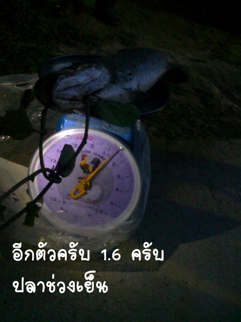 คืนนี้ ขอลา กันด้วยรูปนี้นะครับ

ยังมีรูป ของวัน ที 25..3.55

อีกหลายรูปครับ
อย่าลืม ติมตามชม ห