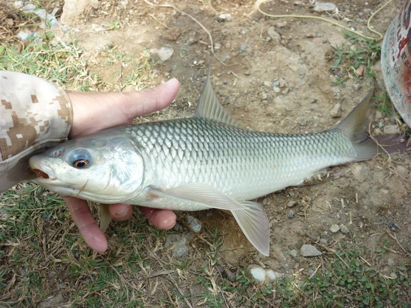 ขอถ่ายภาพทำประวัติหน่อย