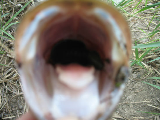 สุดซอยเลยครับส่งยาวๆไปเลย :laughing: :laughing: :laughing: