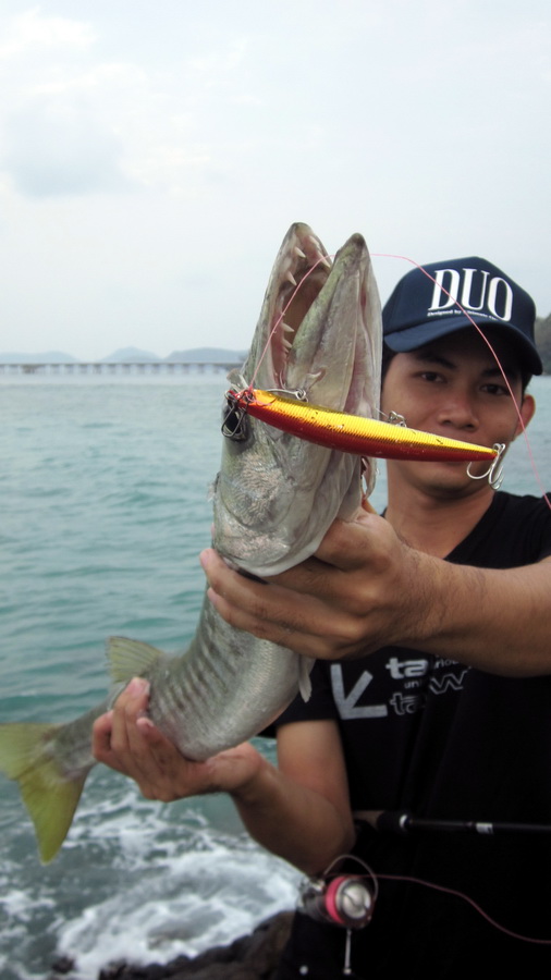 DUO Tide minnow slim 12s    :cheer: :cheer: :cheer: :cheer: :cheer:

ตีลงน้ำ กระตุก....  ตึ๊บบบบบ 