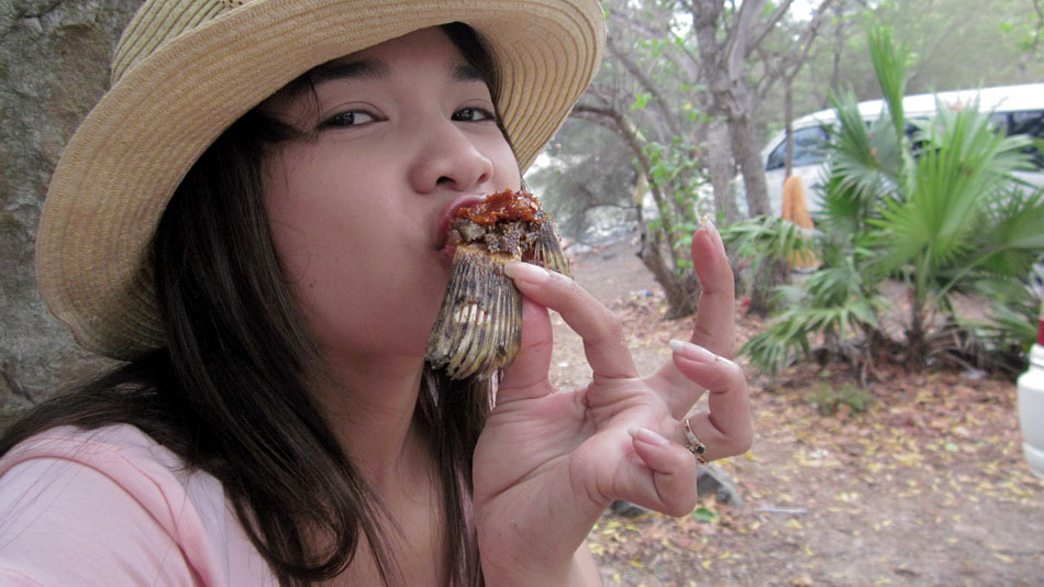 ไต๋เรือ +ช่างภาพ    500    :laughing: :laughing: :laughing: :laughing:
