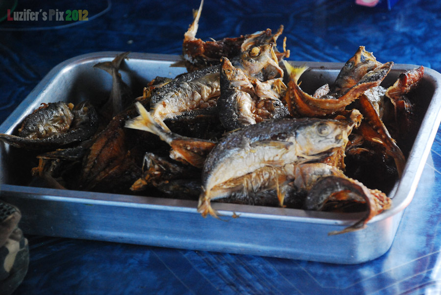กินกันทุกมื้อครับ

เพราะผมทำตากไว้เต็มดาดฟ้าเรือเลย

 :laughing: :laughing: :laughing: