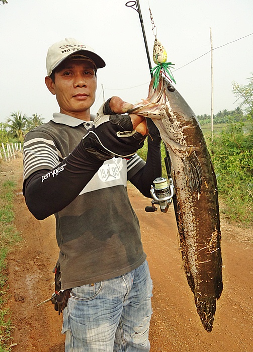 " หยดน้ำพันธุ์แท้ " ภาค 2  (วันฟ้าหม่น ฝนพรำ)