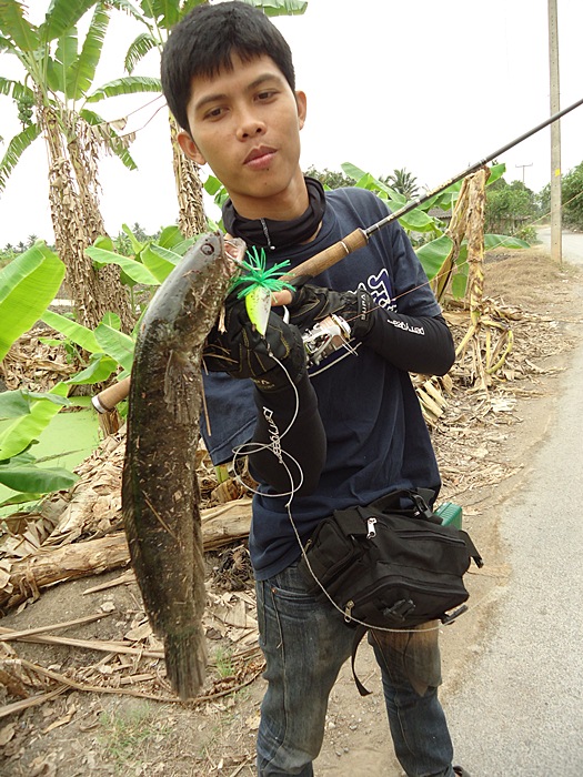 .... "ทัตโตะ" จัดไป ครับผม !!!  :cheer: :cheer: :cheer: :cheer: :cheer: :cheer:
.... :cool: :cool