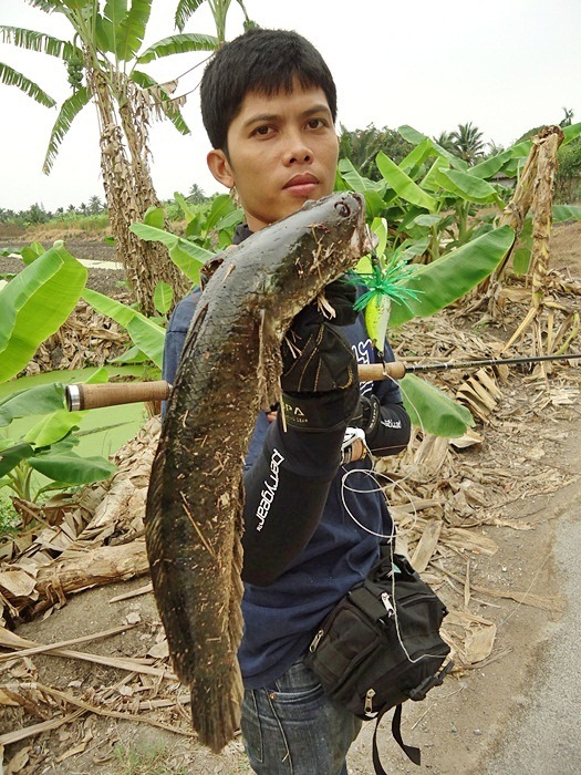 ....หล่อๆไปอีก ซักรูป "ทัตโตะ"  :cool: :cool: :cool:
.... :cheer: :cheer: :cheer: :cheer: :cheer: