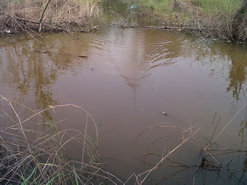 [q][i]อ้างถึง: FiShinGPex posted: 26-03-2555, 21:54:02[/i]

 :prost: :prost:+1 ครับติดตามชมครับ  :