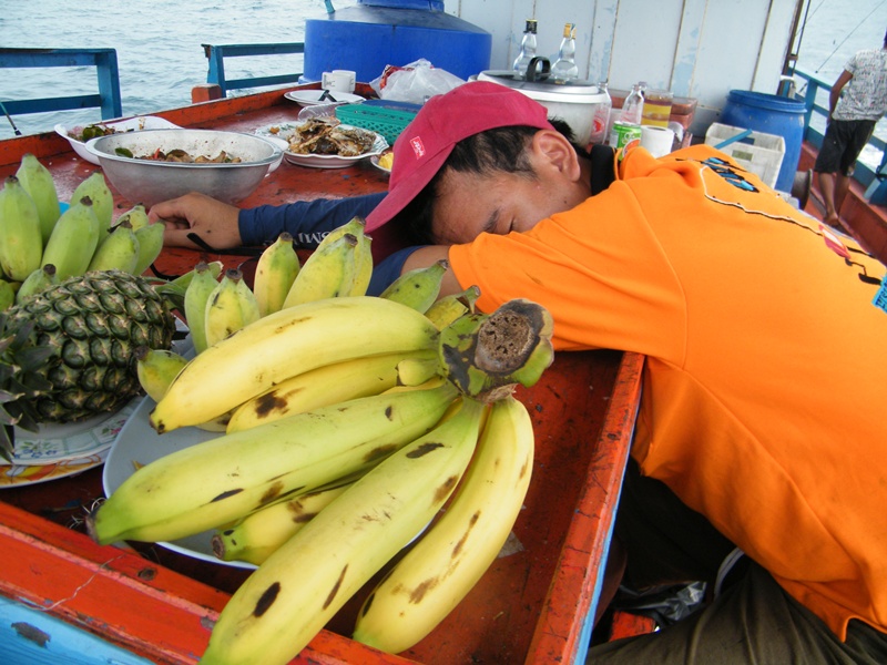 หมีตามไปติดๆ :sleeping: :sleeping: :sleeping: :sleeping: :sleeping: :sleeping: :sleeping: :sleeping: