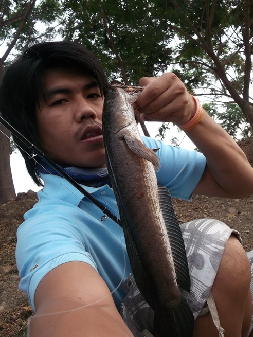 +++แล้วเราก็เอามาถ่ายคู่กับเราบ้าง.....+++ :cheer: :cheer: :cheer: :cheer: :cheer: :cheer: :cheer: :