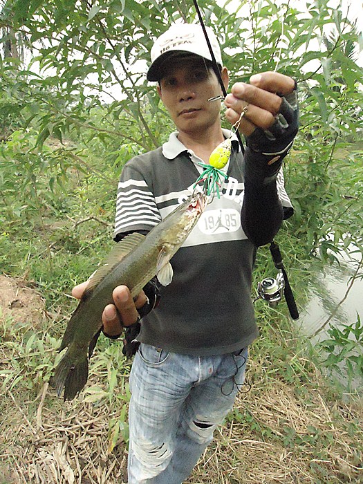 ....แน่นอน ที่สุด ครับผม !!!  :cheer: :cheer: :cheer: :cheer: :cheer: :cheer:
.... :cool: :cool: :c