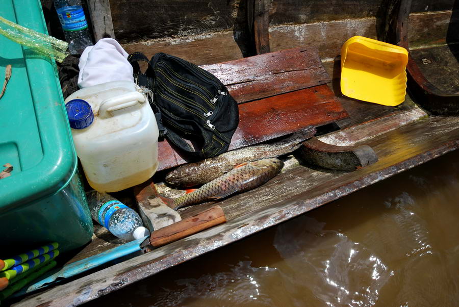 เดินมาถึงเรือ...พวกน้าเนตร..น้าจิน...น้าเอี่ยว..เดินนำหน้าผม...ไปสอยปลากระสูบและกระสงมาแล้วครับแค่ชั