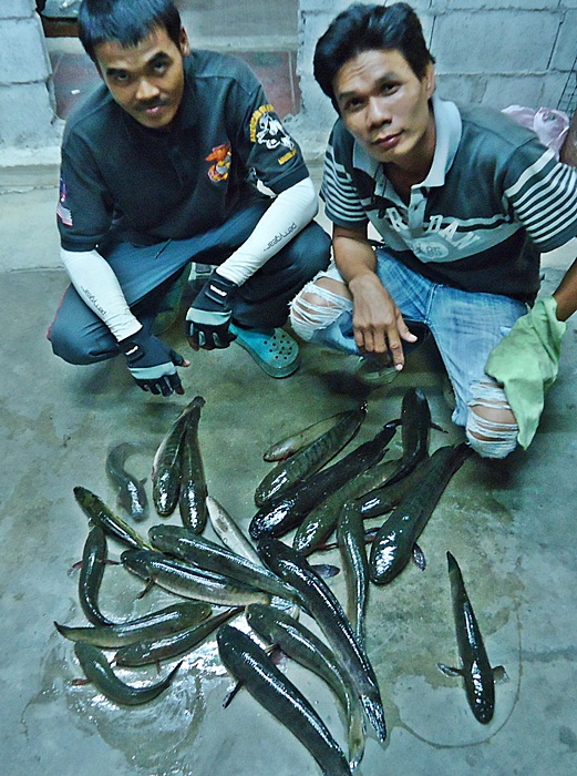 ....นายตี๋ ก็หายคล่องใจ ยอมรับว่า พี่ทุย เจ๋งจริง อะไรจริง ครับผม !!!  :cool: :cool: :cool:
.... :c