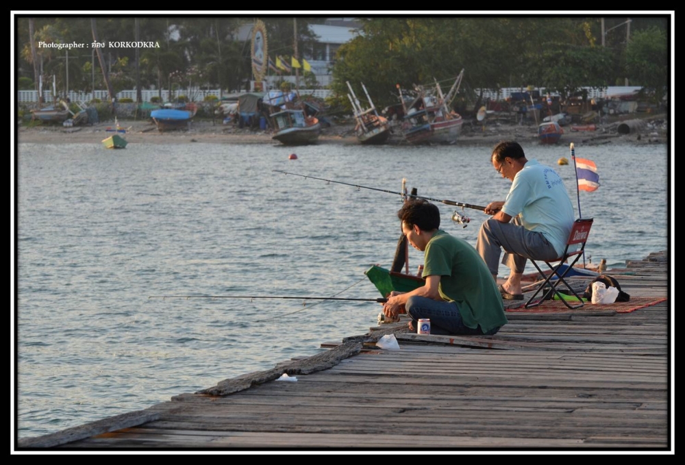 ขณะ...ที่เรารอให้ใกล้มืด...เพื่อออกไปไดหมึก...
ยังมีเวลาก็...เดินเก็บภาพชีวิต....และธรรมชาติ...
กา