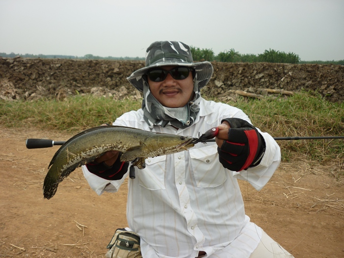 [q][i]อ้างถึง: tomlishad posted: 27-03-2555, 13:06:57[/i]

:ohh: :ohh: :ohh:โอ้วววววว...หายากนะไซร
