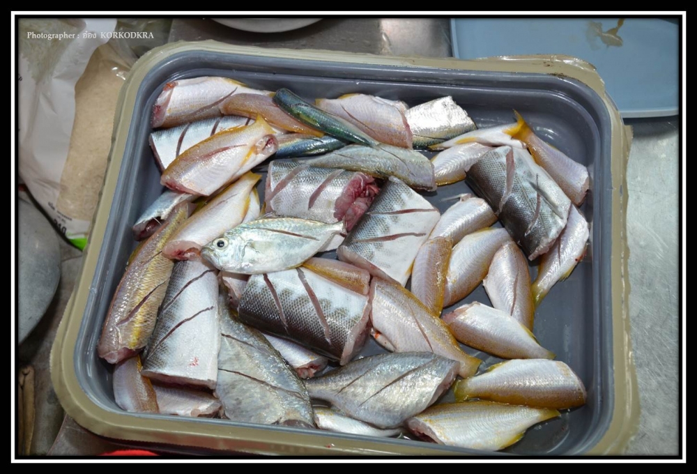 กำลังจะกลายเป็นกับข้าวมื้อแรกจากครัวในเรือท่องทะเลครับ :grin: