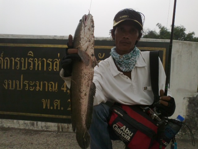 เทียบไซด์..หมายคลองๆ..กะเหยื่อ.3.5... :cheer: