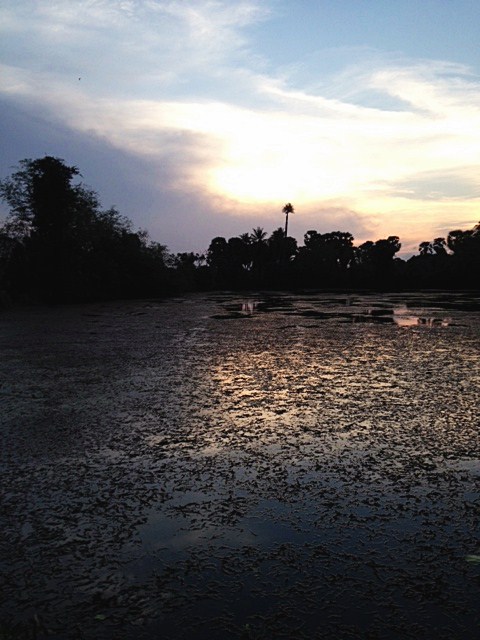 สาหร่ายเยอะมากครับ 