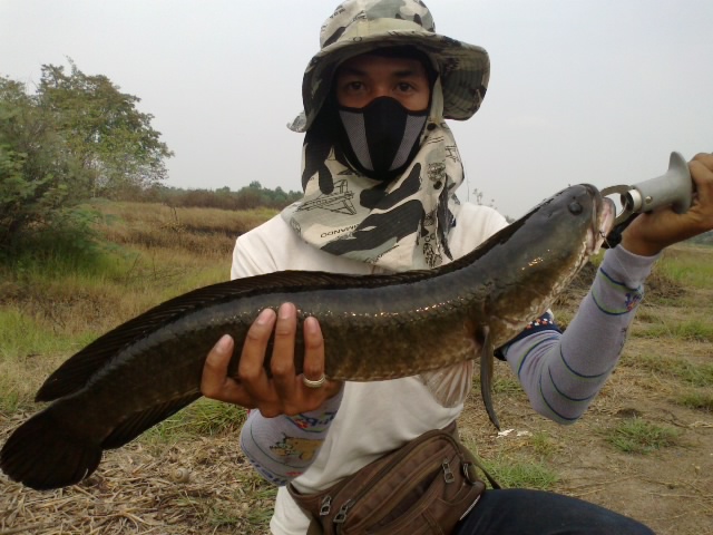 [q][i]อ้างถึง: smooth*jay* posted: 27-03-2555, 20:16:33[/i]

 :cheer: :cheer: :cheer:[/q]

ขอบคุ
