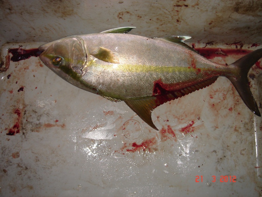  :cheer: :cheer: :cheer: