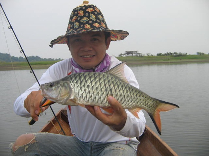 ผมว่า ไซร์มันผิดกันนะกลับเมื่อวันก่อน