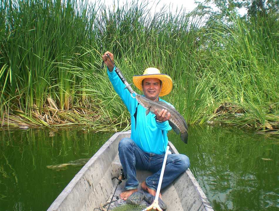น้าโจชวนลงเรือผมพายให้ครับ :cheer: :cheer: :cheer: