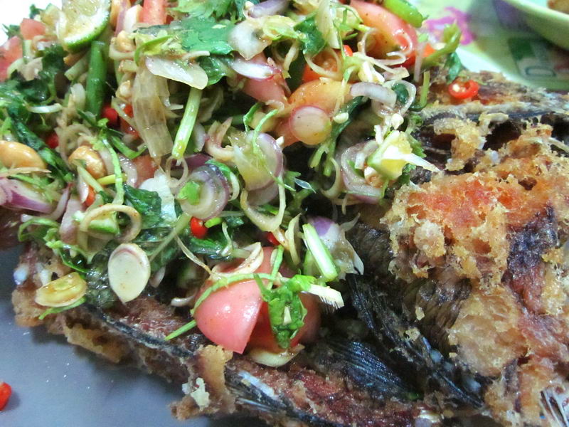


เอาอันนี้มาฝากโปรอ้วน...... [b]บอกว่าปลาช่อนลุยสวน   อร่อยมากเลย....คริ คริ[/b]



 :grin:
