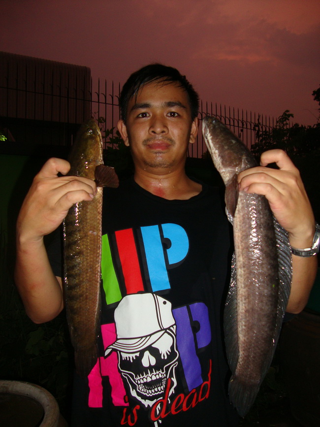 แห้วตลอดครับช่วงหลัง....... :grin: :grin: :grin: :grin: :grin: :grin: :grin: :grin: :grin: :grin: :g