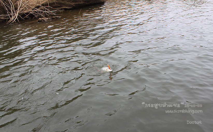 [b]เชิญดื่มด่ำตามสบายเลยเพื่อน :laughing: :laughing: :laughing:[/b]
-------------------------------